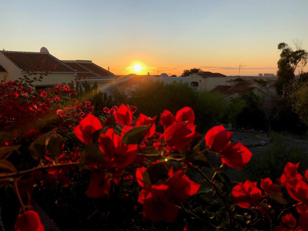 Sonniges An Der Costa Blanca